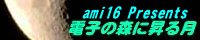 �d�q�̐X�ɏ��錎