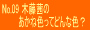 No.09�ؓ����́u�����ːF���Ăǂ�ȐF�H�v